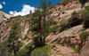 Zion National Park